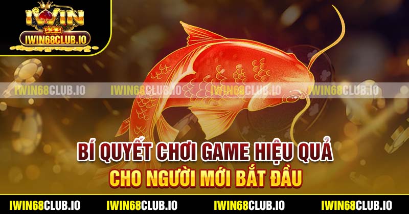 Bí quyết chơi game hiệu quả cho người mới bắt đầu